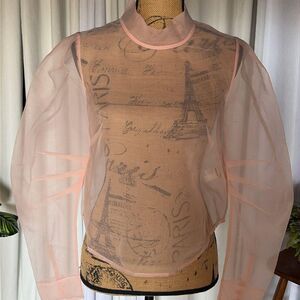 Maeve by Anthropologie Blush Pink Sheer Puff Sleeve Blouse